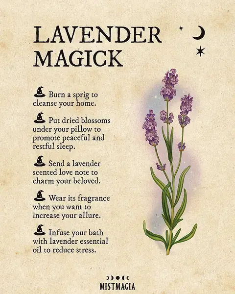 Lavender Magick