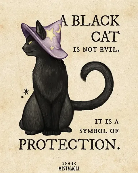 A black cat is not evil, it is a symbol of protection