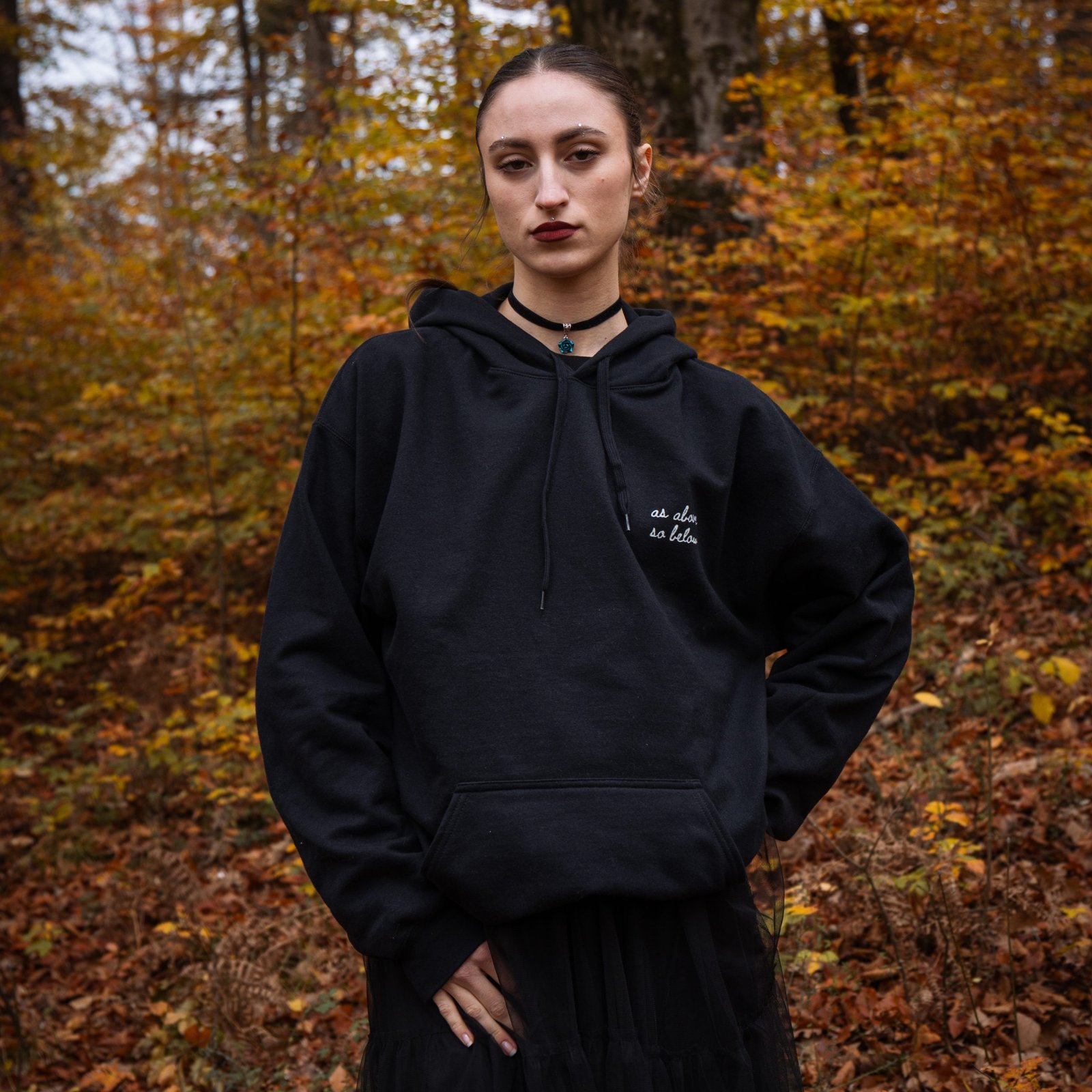 Luna Moth Hoodie - Image 4